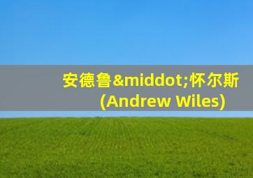 安德鲁·怀尔斯(Andrew Wiles)